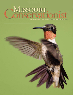 Download the current issue
