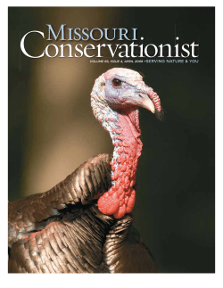 Download the current issue