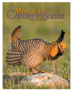 Download the current issue