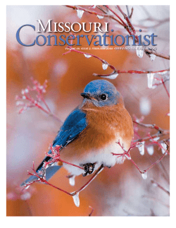 Download the current issue