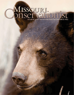 Download the current issue