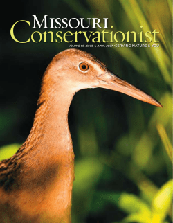 Download the current issue