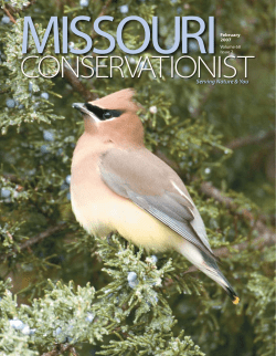 Download the current issue