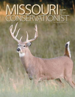 Download the current issue