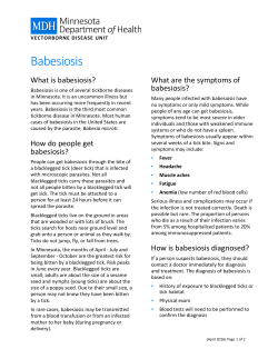 Babesiosis Fact Sheet