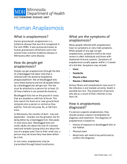 Human Anaplasmosis Fact Sheet
