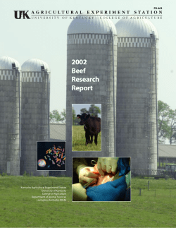 Intestinal starch disappearance increases in steers abomassally infused with protein.