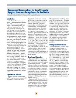 Management considerations for use of perennial ryegrass straw as a forage source for beef cattle.