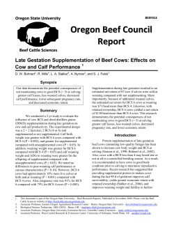Late gestation supplementation of beef cows: Effects on cow and calf performance.