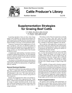 Supplementation for grazing beef cattle