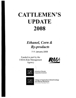 Feeding ethanol co-products from corn to beef cattle.