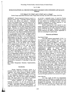 Use of Russian knapweed as a protein supplement for beef cows consuming low-quality forage.