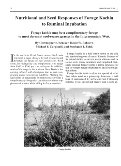 Nutritional calendar and germination responses to ruminal incubation of forage kochia.