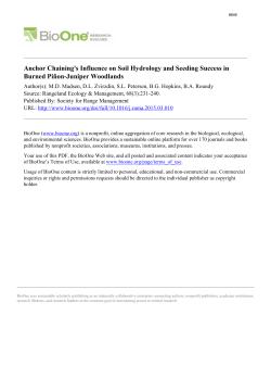 Download report (PDF)