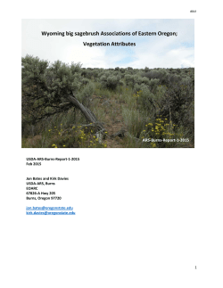 Download report (PDF)