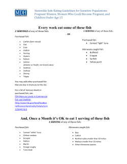 Accessible Format Version of Statewide Safe-Eating Guidelines: Sensitive Population (PDF: 183KB/2 pages)