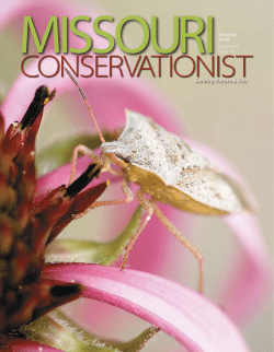 Download the current issue