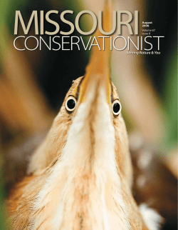 Download the current issue