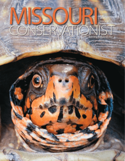 Download the current issue