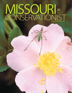 Download the current issue
