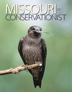 Download the current issue