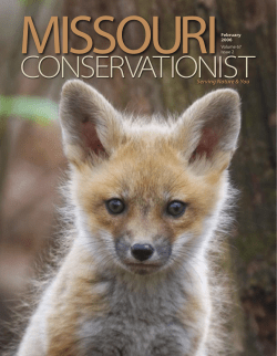 Download the current issue