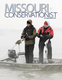 Download the current issue