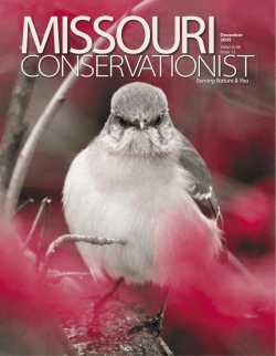 Download the current issue