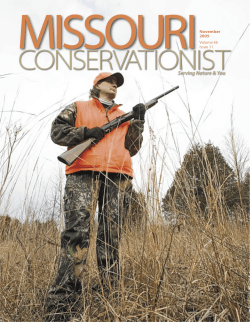 Download the current issue
