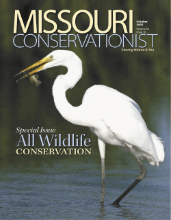 Download the current issue