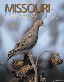Download the current issue