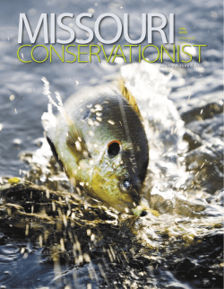 Download the current issue