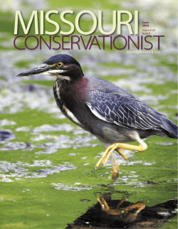 Download the current issue