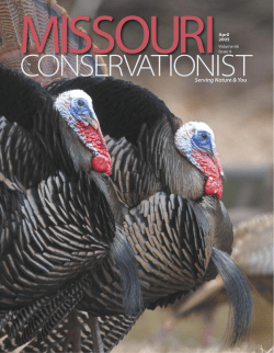 Download the current issue
