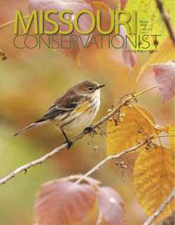 Download the current issue
