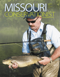 Download the current issue