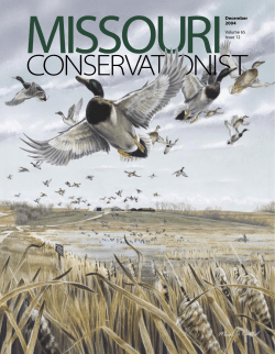 Download the current issue