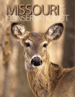 Download the current issue