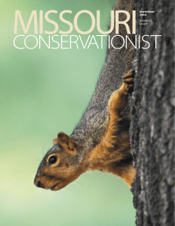 Download the current issue