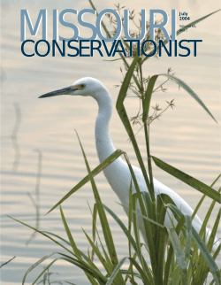 Download the current issue