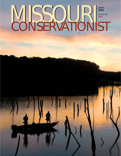 Download the current issue