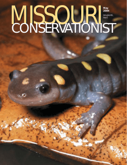 Download the current issue