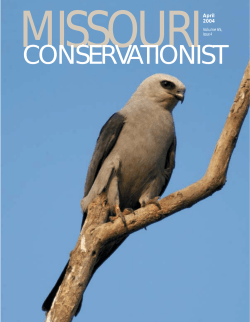 Download the current issue