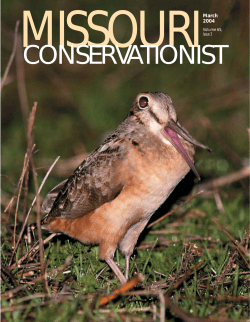 Download the current issue
