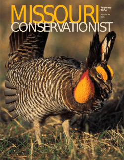 Download the current issue