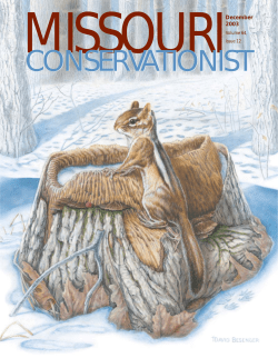 Download the current issue