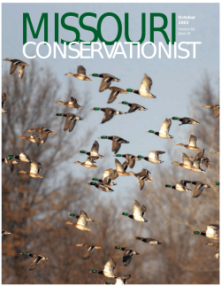 Download the current issue