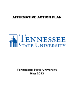 2013 Affirmative Action Plan