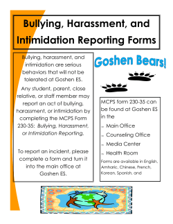 Flyer about Bullying