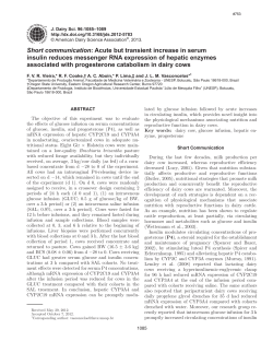 Download report (PDF)